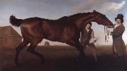 George Stubbs Hambletonian, Rubbing Down oil painting on canvas